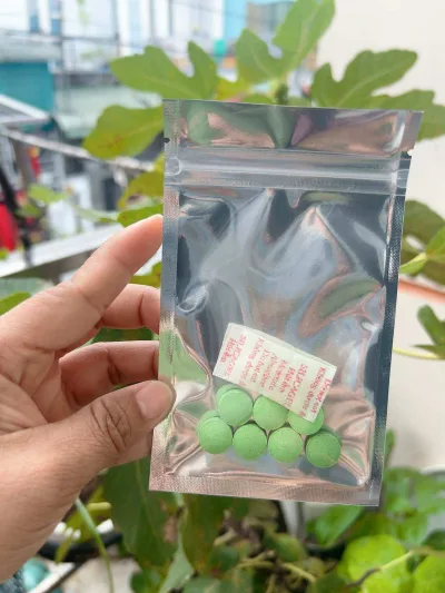Individually Packaged Celery Weight Loss Pills, 7 Pills - Free 15 Waist Tightening Pills - Supplementary Food