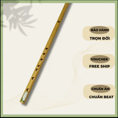 Sáo trúc. Nứa nam , Tone C5 , D5 , B4 , Bb4 , F4 , A4 , G4 .Dành cho người mới tập chơi . Sáo Trúc Linh Nhi