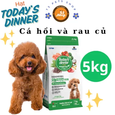 Today Dinner Grain Food for All Ages and All Dog Breeds - T3 Pets Shop