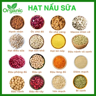 Các Loại Hạt Nấu Sữa Hữu Cơ, Dinh Dưỡng Gói Dùng Thử 100gr Loại 1 Siêu Thơm Béo