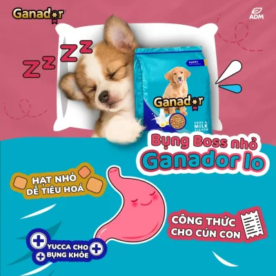 5gói x 400gram Thức ăn cho chó con Ganador Puppy Egg and Milk - Vị Trứng và Sữa -Thức ăn hạt cho chó