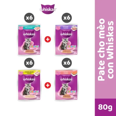 Thức ăn cho mèo con WHISKAS Junior dạng sốt – túi 80g, 24 gói