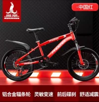 Children's Sports Bicycles, Mountain Bikes for Children, Phoenix Bicycles, Sports Bicycles for Boys and Girls, 6, 10, 15 Years Old, Teenagers