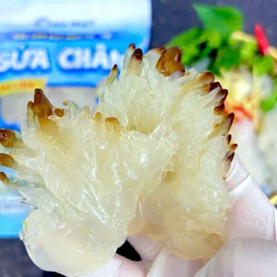SỨA CHÂN ĂN LIỀN – GÓI 1KG ( KHÔNG TÍNH NƯỚC ) - NGON - GIÒN - ĐÃ XẢ MẶN