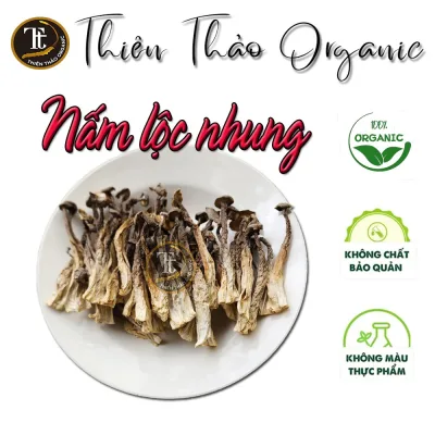 200gr Nấm Lộc Nhung loại 1 nguyên cây rất tốt cho cơ thể Thiên Thảo Organic