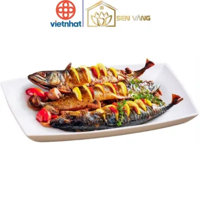 Set 10 Đĩa chữ nhật 2 màu nhựa VIỆT NHẬT - Sâu lòng, đựng đồ ăn vặt, cá, bánh kẹo - 1268