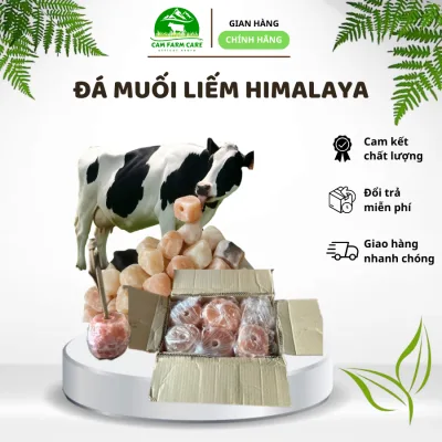 Đá muối liếm khoáng Hymalaya tự nhiên viên nặng từ 2kg cho gia súc (trâu, bò, dê,…)