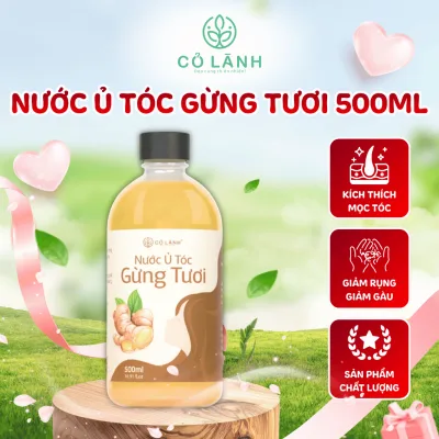 Nước Cốt Gừng Tươi Ủ Tóc Cỏ Lành 500ml - Dùng Kích Mọc Tóc Giảm Rụng Tóc Dày Tóc Chắc Khoẻ Mềm Mượt