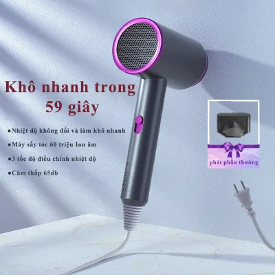 High-End 2-Way Hot and Cold Hair Dryer Mini High Capacity Genuine Negative Ion Hair Dryer 800W Multi-Function Hair Dryer Two-Way Hair Dryer Quick Drying Hair Care