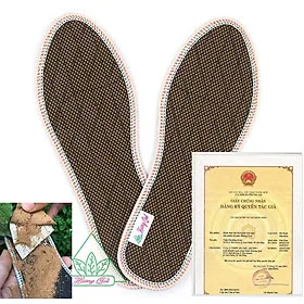 Lót giày Hương Quế CL06 chính hãng, êm, bền, bột quế thật, thơm, chống hôi chân và tốt cho sức khỏe