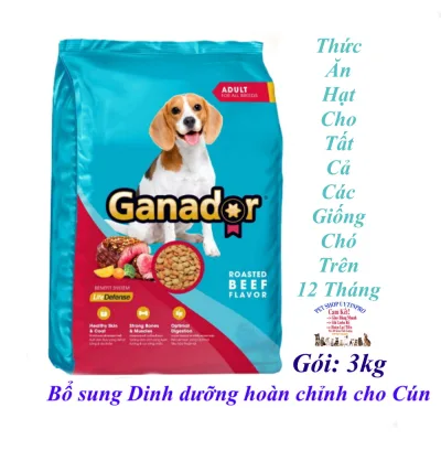 Gandor adult roving beef flavor dog food grade 3kg cow flavor fully baked dietary supplement dog nutrition