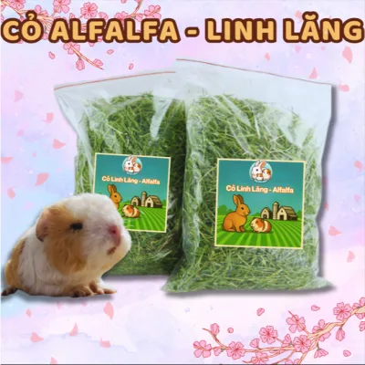 Cỏ Alfalfa khô, thức ăn Bọ Ú (Chuột lang) Thỏ cảnh cao cấp (Chưa lọc vụn)