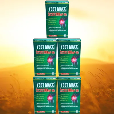 Combo of 5 Boxes of Yest Maxx Green - Rostex - Hai Duong - Purifying Vitamins - Multivitamins