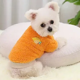 ÁO THUN ẤM DỄ THƯƠNG CHO THÚ CƯNG CHÓ MÈO